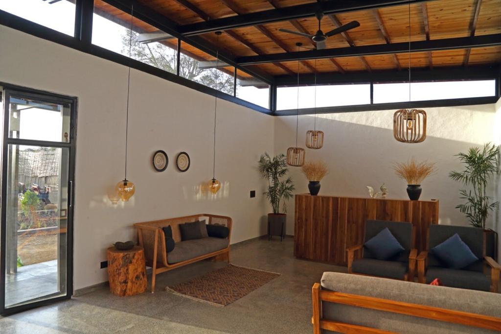 Zira Collection Item